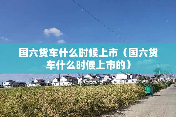 国六货车什么时候上市（国六货车什么时候上市的）