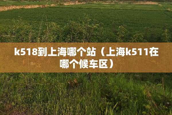 k518到上海哪个站（上海k511在哪个候车区）