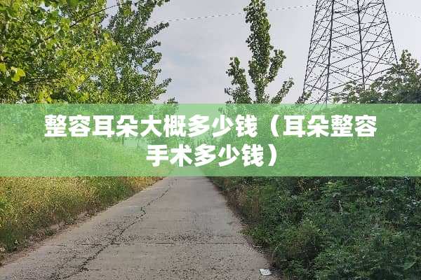 整容耳朵大概多少钱（耳朵整容手术多少钱）
