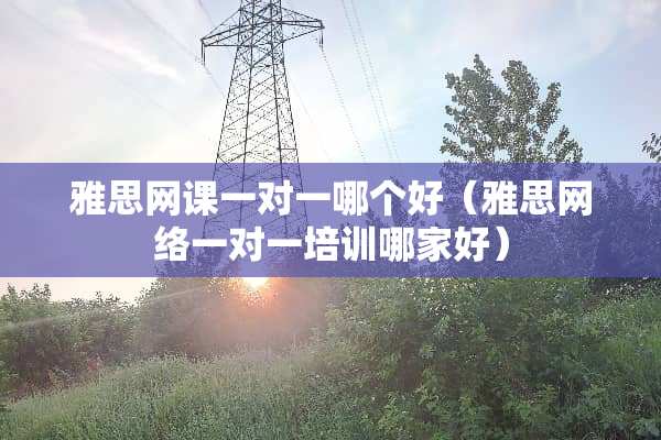 雅思网课一对一哪个好（雅思网络一对一培训哪家好）