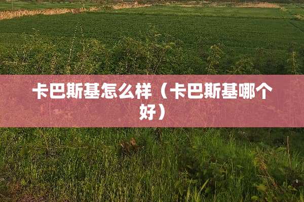 卡巴斯基怎么样（卡巴斯基哪个好）