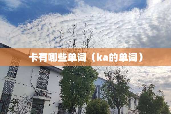 卡有哪些单词（ka的单词）
