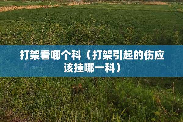 打架看哪个科（打架引起的伤应该挂哪一科）