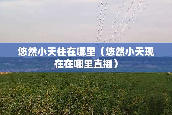 悠然小天住在哪里（悠然小天现在在哪里直播）