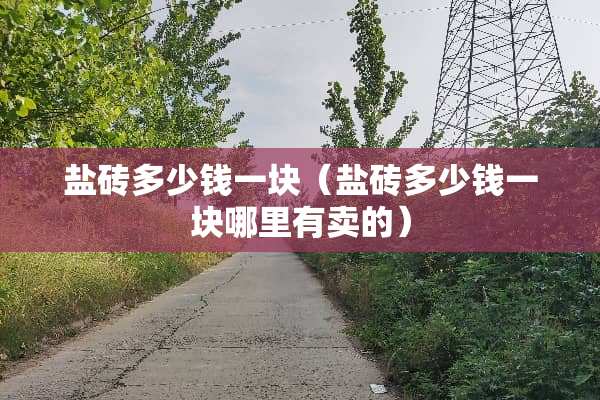 盐砖多少钱一块（盐砖多少钱一块哪里有卖的）