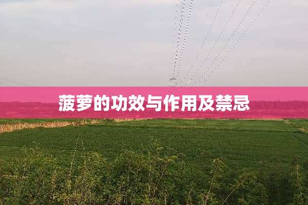 菠萝的功效与作用及禁忌