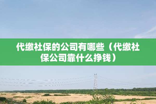 代缴社保的公司有哪些（代缴社保公司靠什么挣钱）