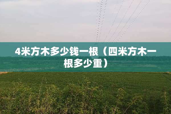 4米方木多少钱一根（四米方木一根多少重）