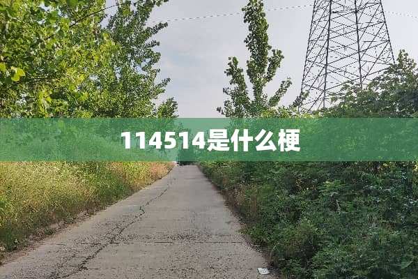 114514是什么梗