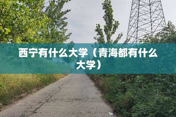 西宁有什么大学（青海都有什么大学）
