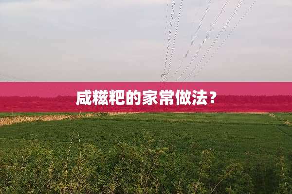 咸糍粑的家常做法？