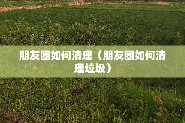 朋友圈如何清理（朋友圈如何清理垃圾）