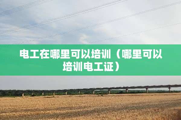 电工在哪里可以培训（哪里可以培训电工证）
