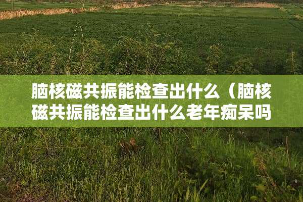 脑核磁共振能检查出什么（脑核磁共振能检查出什么老年痴呆吗?）