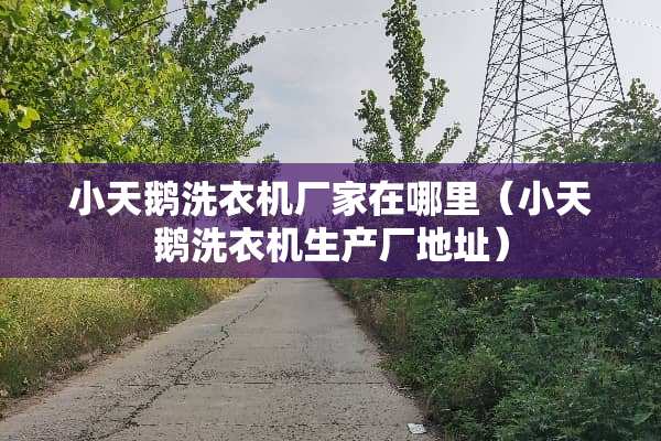 小天鹅洗衣机厂家在哪里（小天鹅洗衣机生产厂地址）