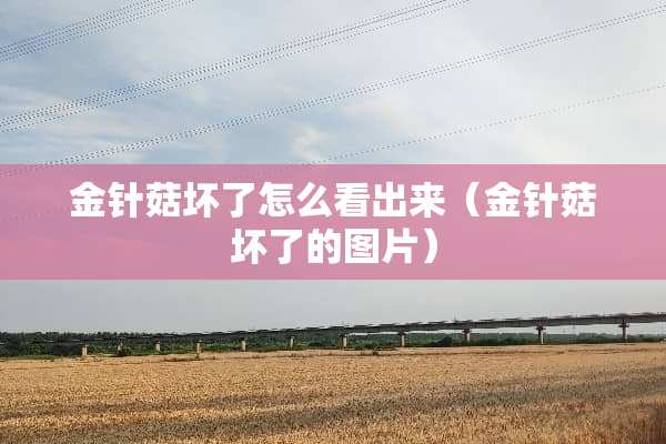 金针菇坏了怎么看出来（金针菇坏了的图片）