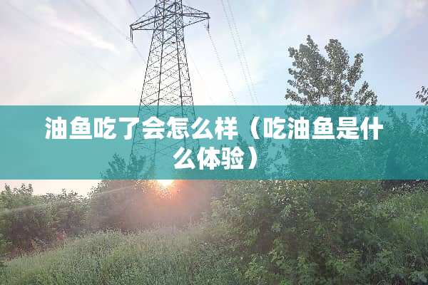 油鱼吃了会怎么样（吃油鱼是什么体验）