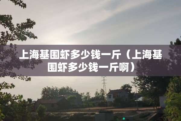 上海基围虾多少钱一斤（上海基围虾多少钱一斤啊）