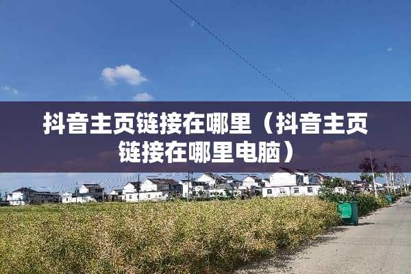 抖音主页链接在哪里（抖音主页链接在哪里电脑）