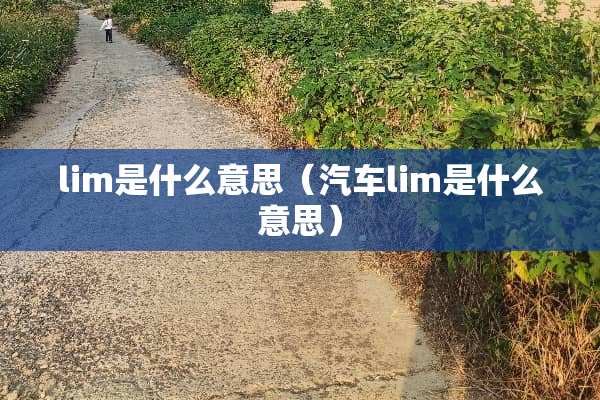 lim是什么意思（汽车lim是什么意思）