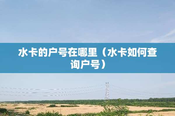 水卡的户号在哪里（水卡如何查询户号）