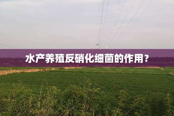 水产养殖反硝化细菌的作用？
