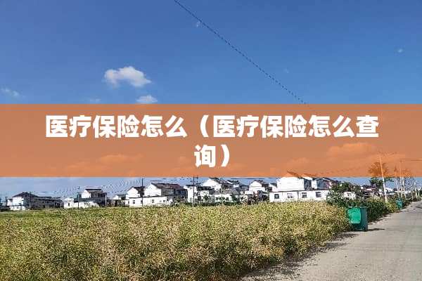医疗保险怎么（医疗保险怎么查询）
