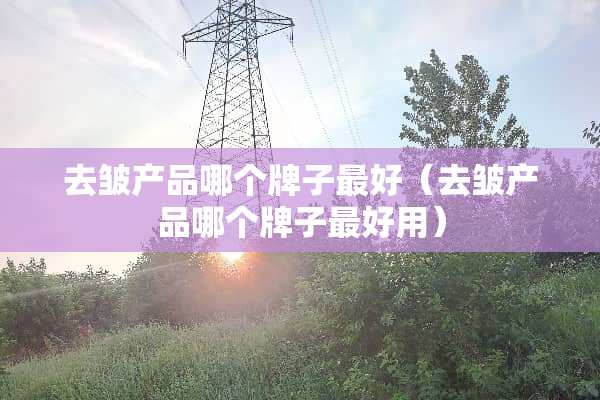 去皱产品哪个牌子最好（去皱产品哪个牌子最好用）