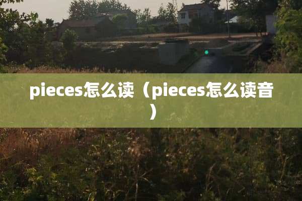 pieces怎么读（pieces怎么读音）