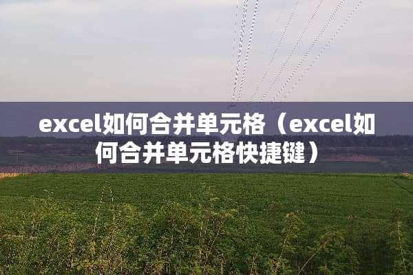 excel如何合并单元格（excel如何合并单元格快捷键）