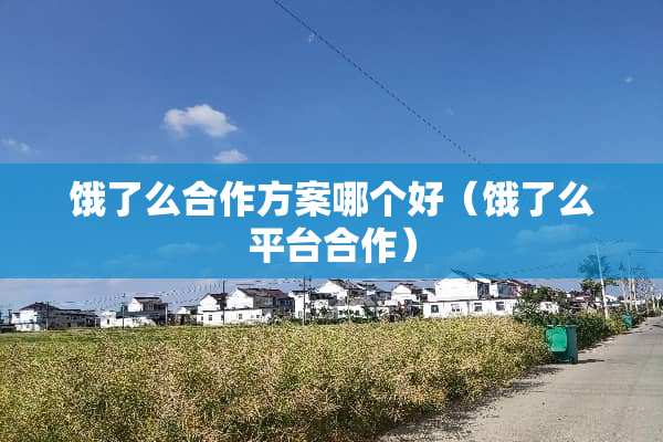 饿了么合作方案哪个好（饿了么平台合作）