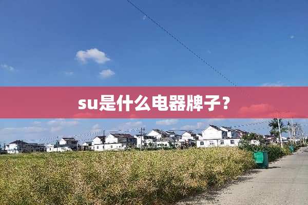 su是什么电器牌子？