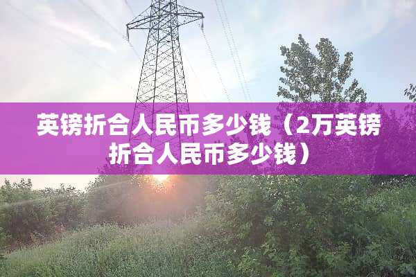 英镑折合人民币多少钱（2万英镑折合人民币多少钱）