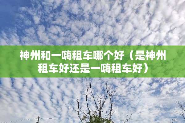 神州和一嗨租车哪个好（是神州租车好还是一嗨租车好）