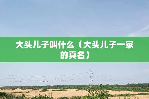大头儿子叫什么（大头儿子一家的真名）