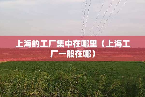 上海的工厂集中在哪里（上海工厂一般在哪）