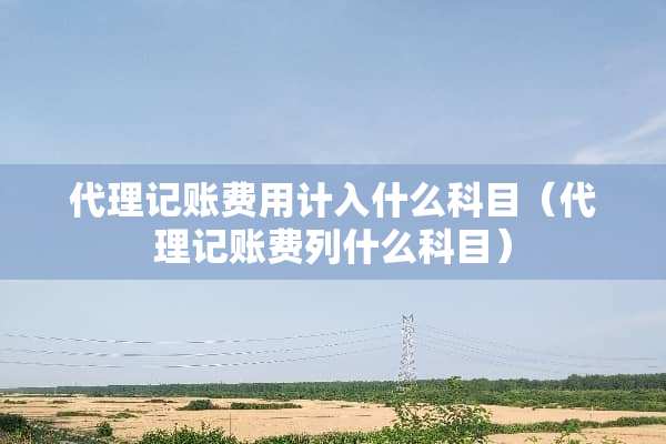 代理记账费用计入什么科目（代理记账费列什么科目）