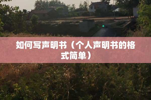 如何写声明书（个人声明书的格式简单）