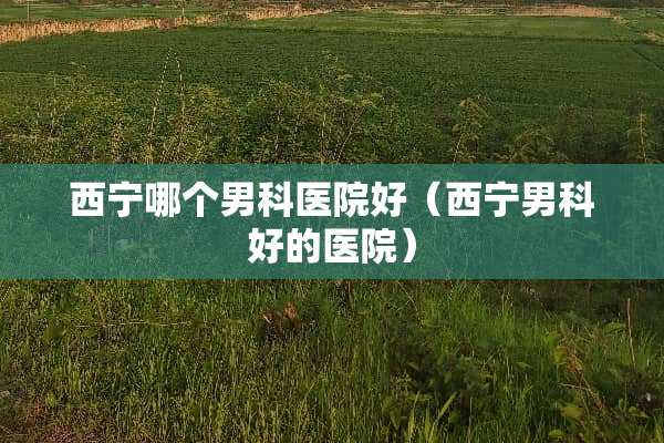 西宁哪个男科医院好（西宁男科好的医院）