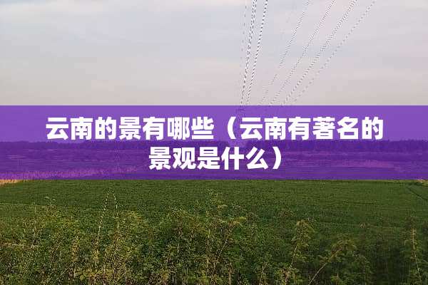 云南的景有哪些（云南有著名的景观是什么）