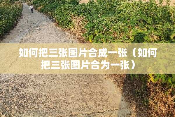 如何把三张图片合成一张（如何把三张图片合为一张）