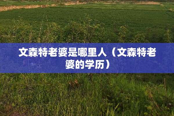 文森特老婆是哪里人（文森特老婆的学历）