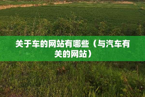 关于车的网站有哪些（与汽车有关的网站）