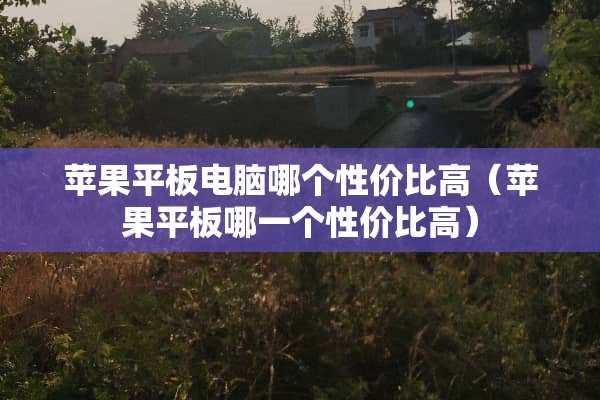 苹果平板电脑哪个性价比高（苹果平板哪一个性价比高）