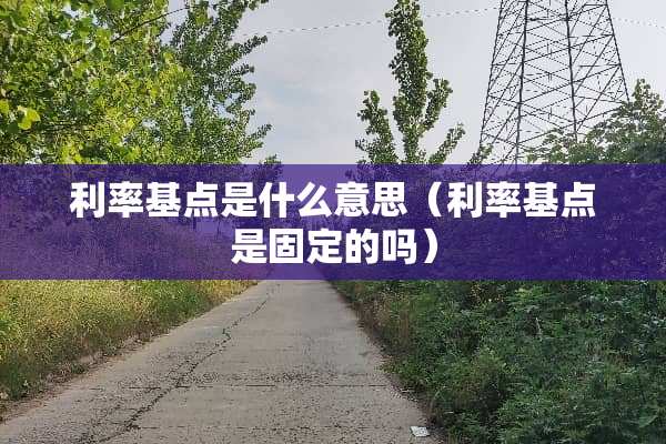 利率基点是什么意思（利率基点是固定的吗）