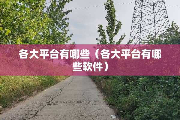 各大平台有哪些（各大平台有哪些软件）