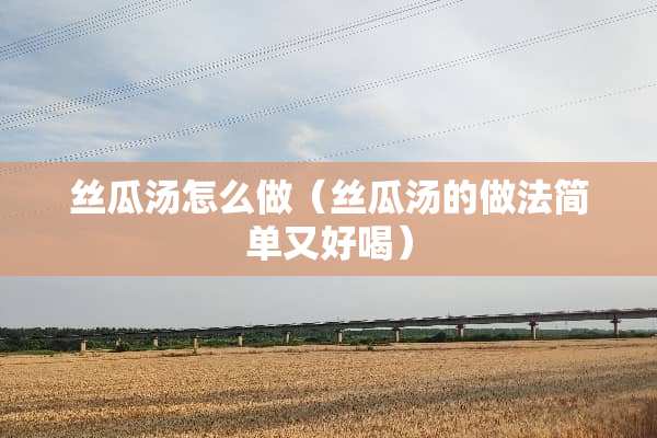 丝瓜汤怎么做（丝瓜汤的做法简单又好喝）