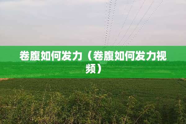 卷腹如何发力（卷腹如何发力视频）