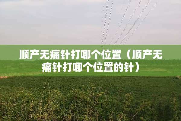 顺产无痛针打哪个位置（顺产无痛针打哪个位置的针）