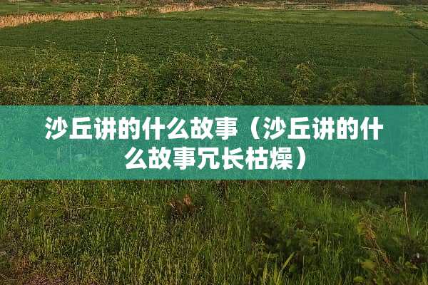 沙丘讲的什么故事（沙丘讲的什么故事冗长枯燥）
